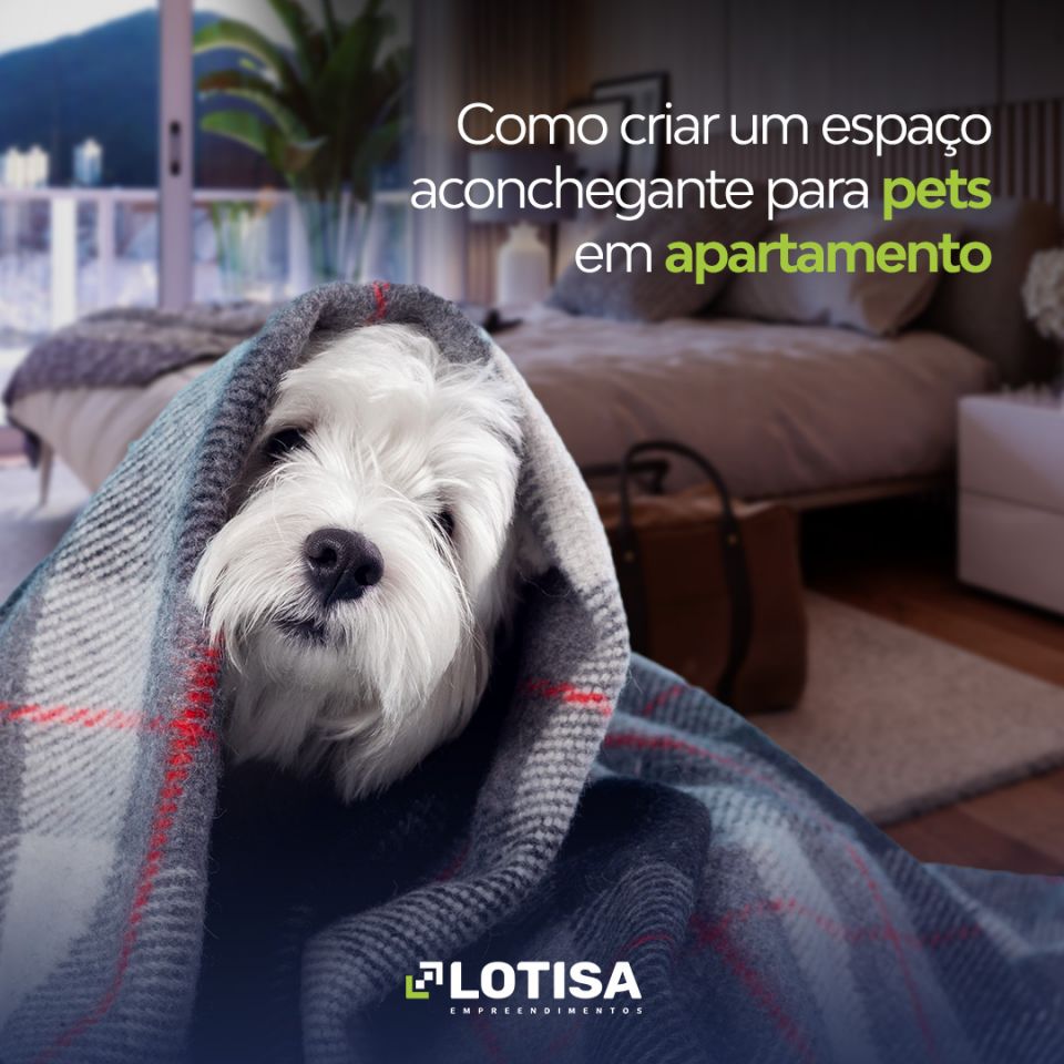 Como criar um espaço aconchegante para pets em apartamento